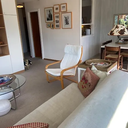 Sunny Mountain View In Town By Jolidi *